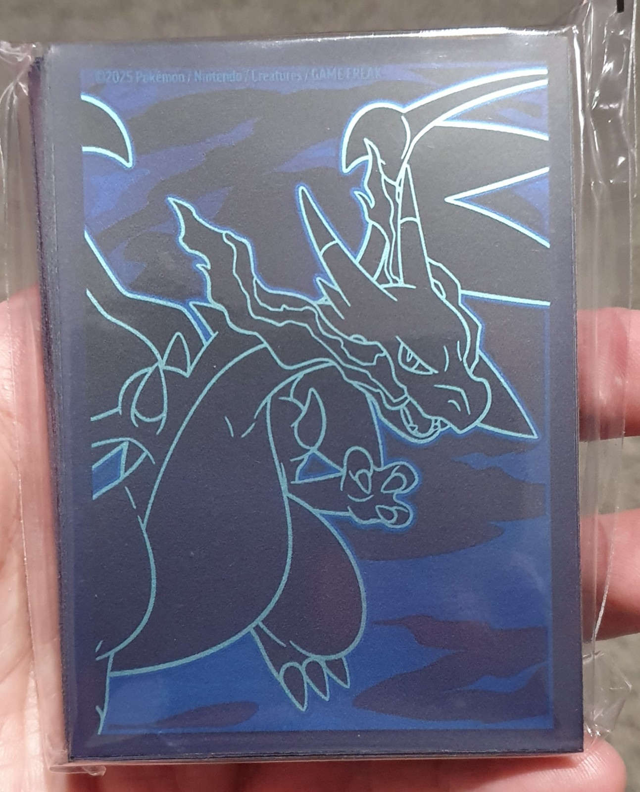 Pokemon TCG Mega Evolution Phantasmal Flames ETB Sleeves 65ct