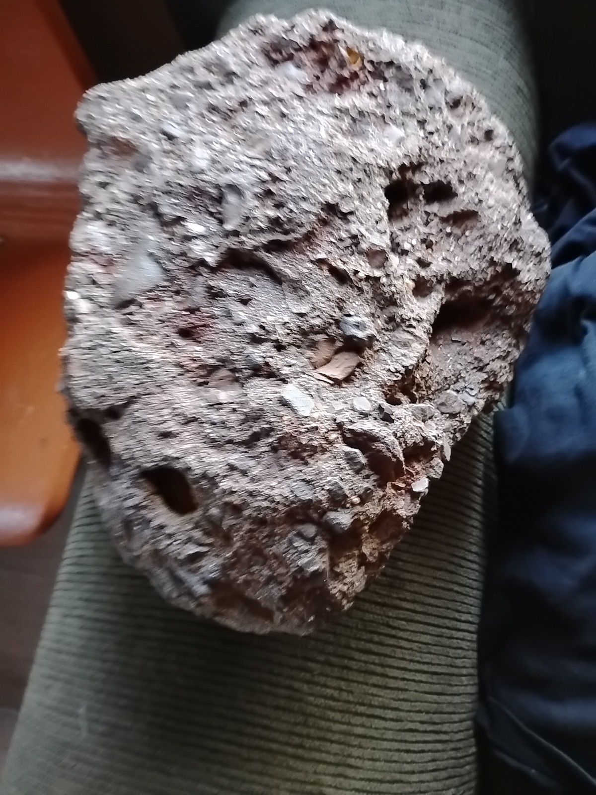 ANKLYSAURUS FOSSIL ON DECK..LOOKS JUST LIKE OTHERS ONLINE..I NEED HELP PLEASE..