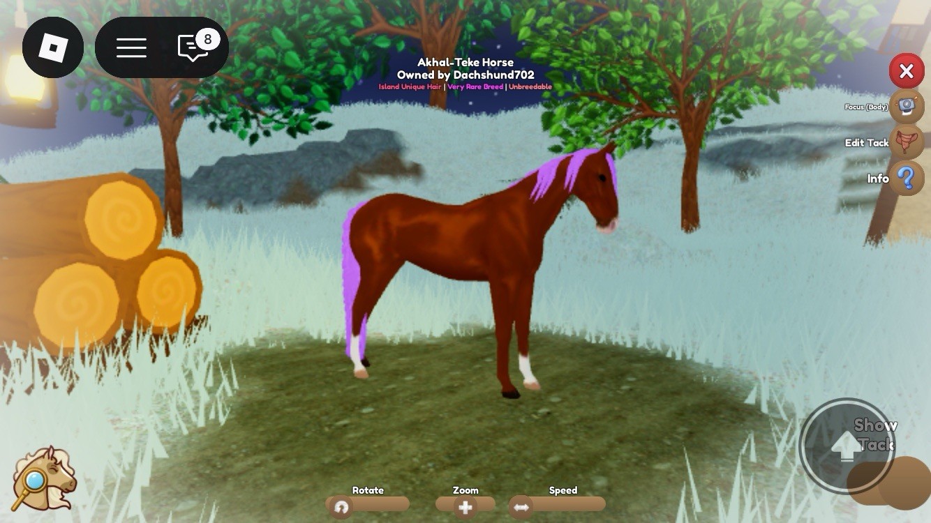 Akhal-Teke Horse Island Unique Hair Very Rare breed Roblox wild horse islands