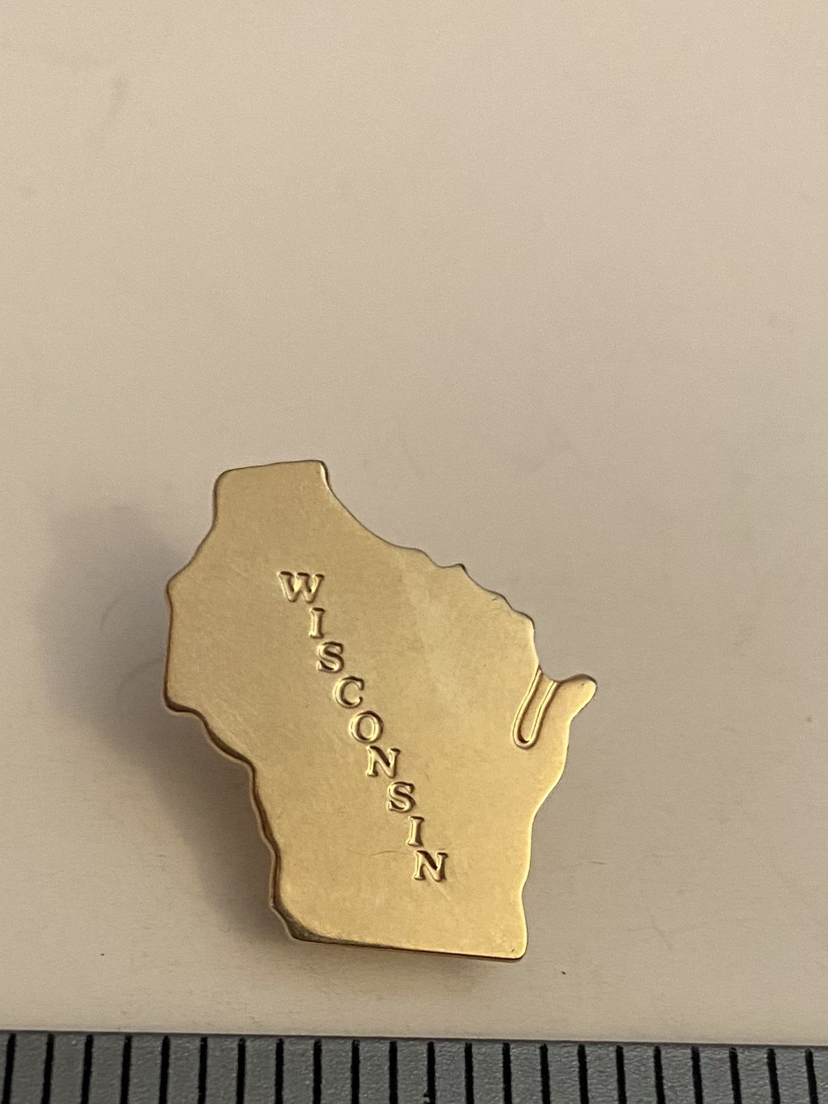 Wisconsin State Lapel Pin P31