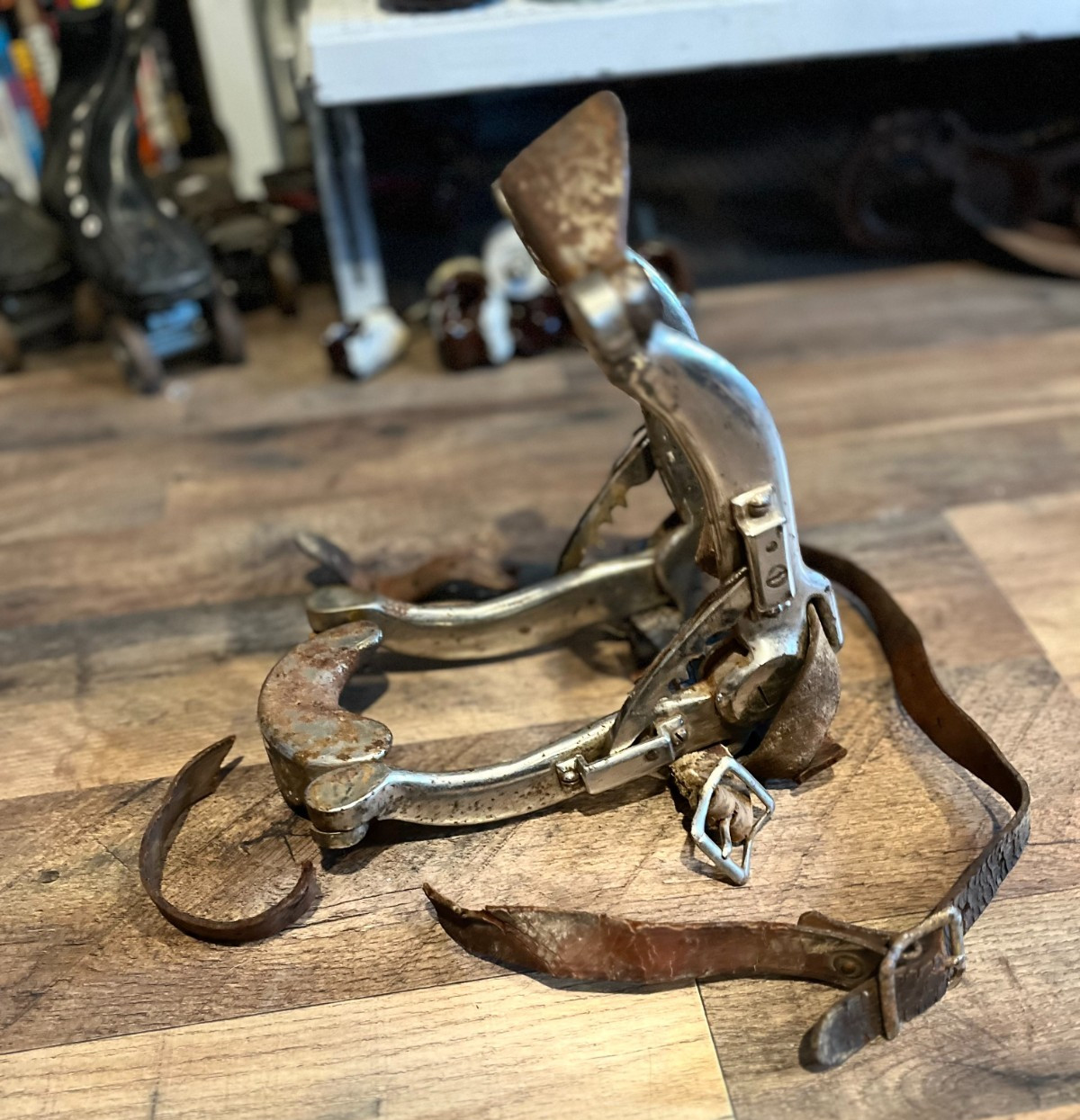 Antique Equine Dental Retractor/Speculum