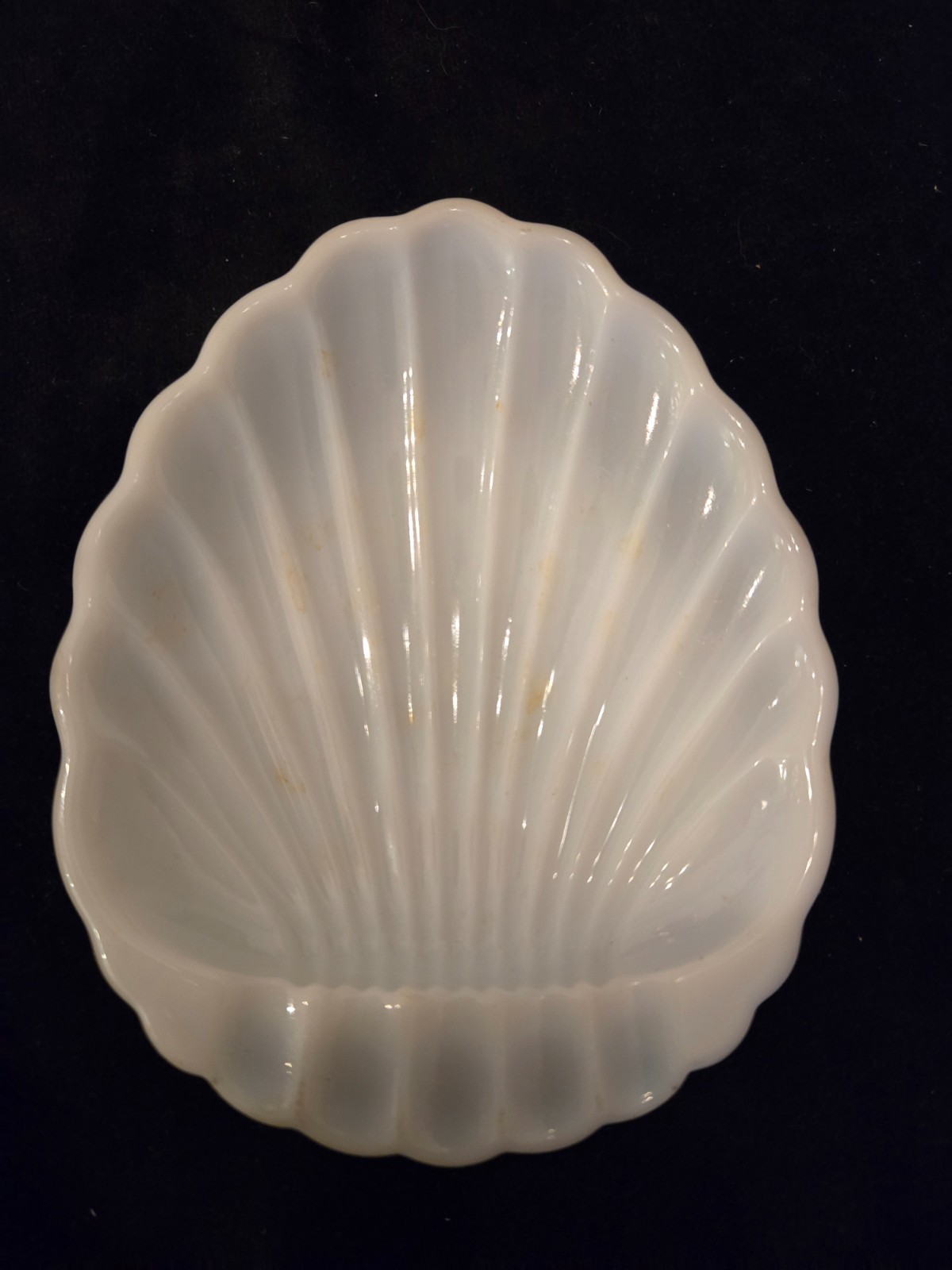 Vintage White Milk Glass Shell Trinket Dish Coastal Cottage Nautical Beach Decor