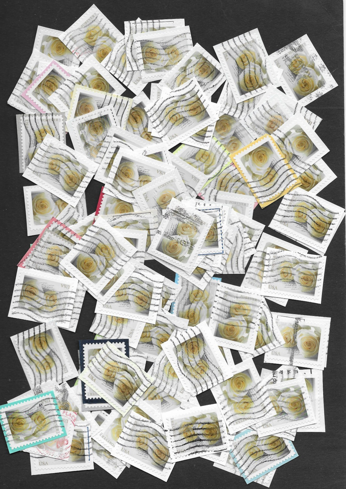 100 Wedding Roses Forever Stamps - USED on Paper #4520