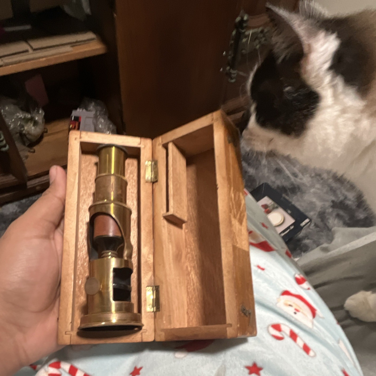 Vintage Brass Microscope Collectible in Wooden Case