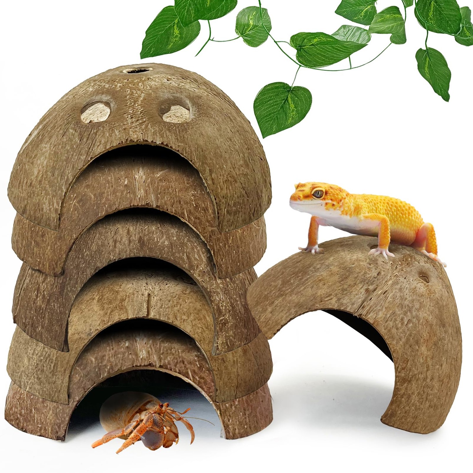 7 Pcs Reptile Hideouts Natural Coconut Shells Hut Leopard Gecko Tank Accessor...
