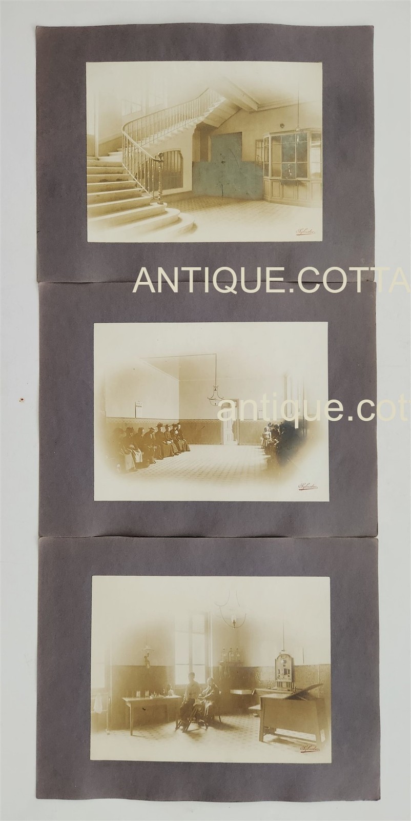 antique PHOTO LOT paris france MEDICAL DENTIST SCHOOL doctor student 3pc Sylvest