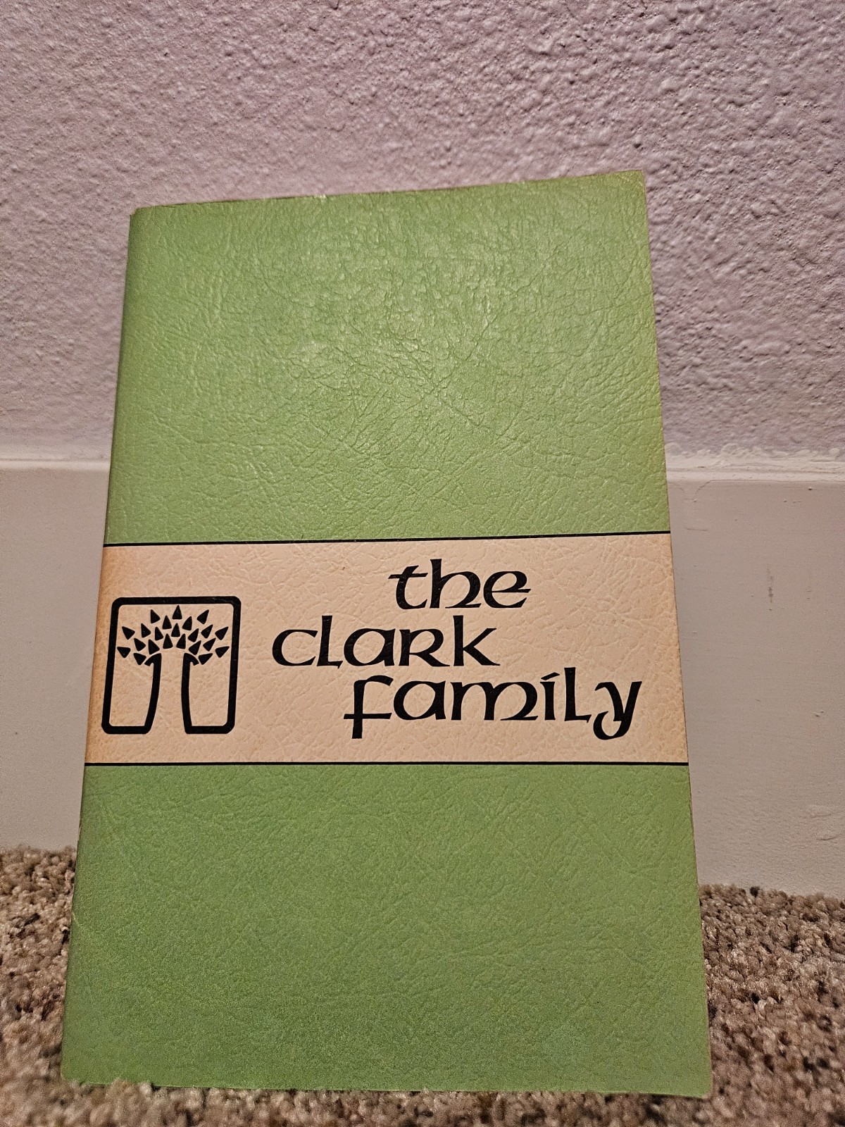 The Clark Family 1972 book