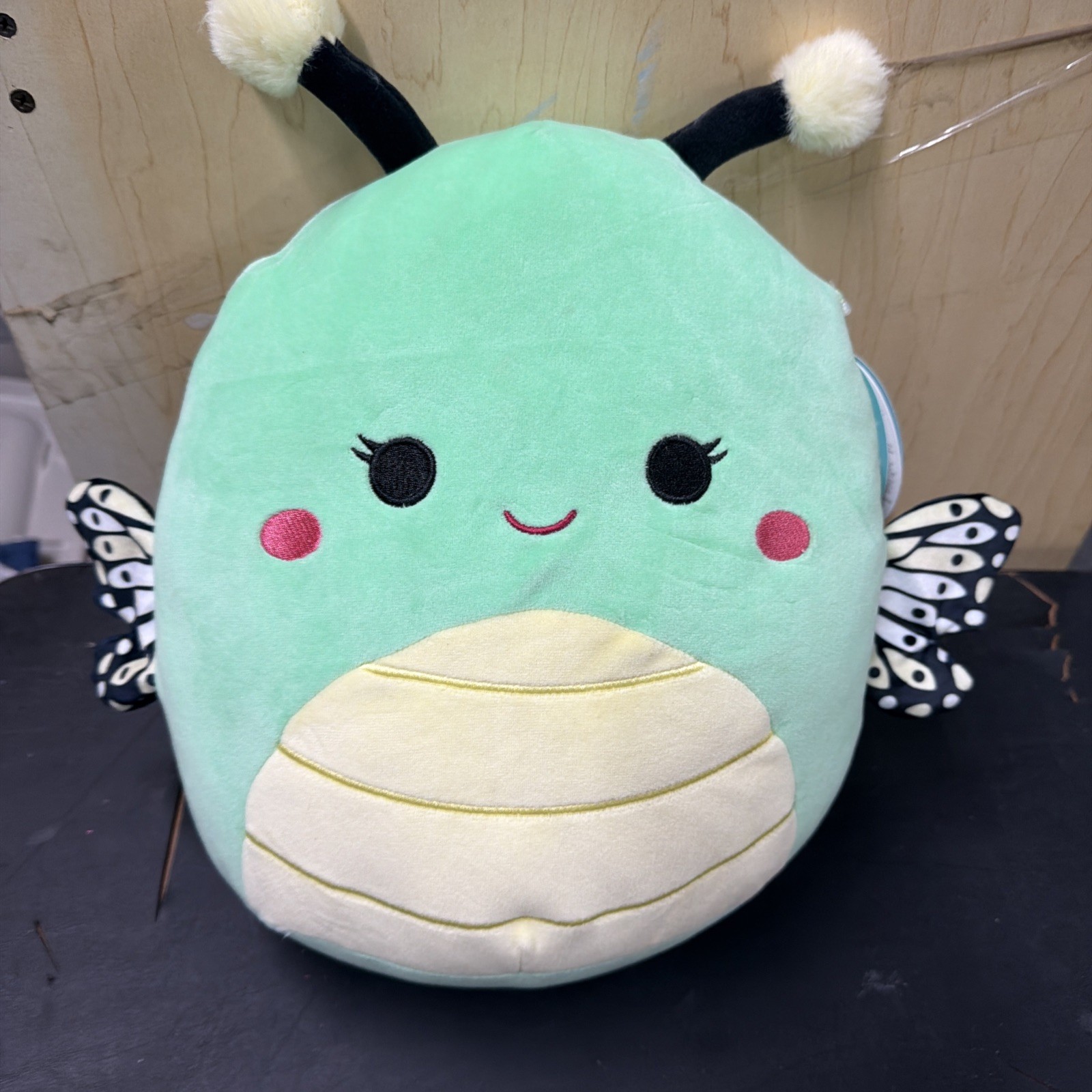 Squishmallow “TAYSHA” Mint Green 12” Butterfly