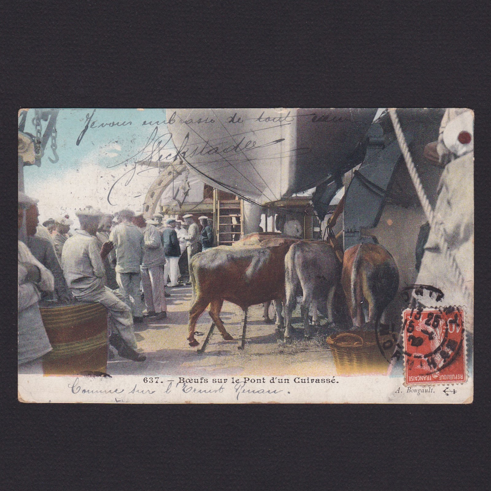 FRANCE 1908, Postcard, Oxen on the deck, Used