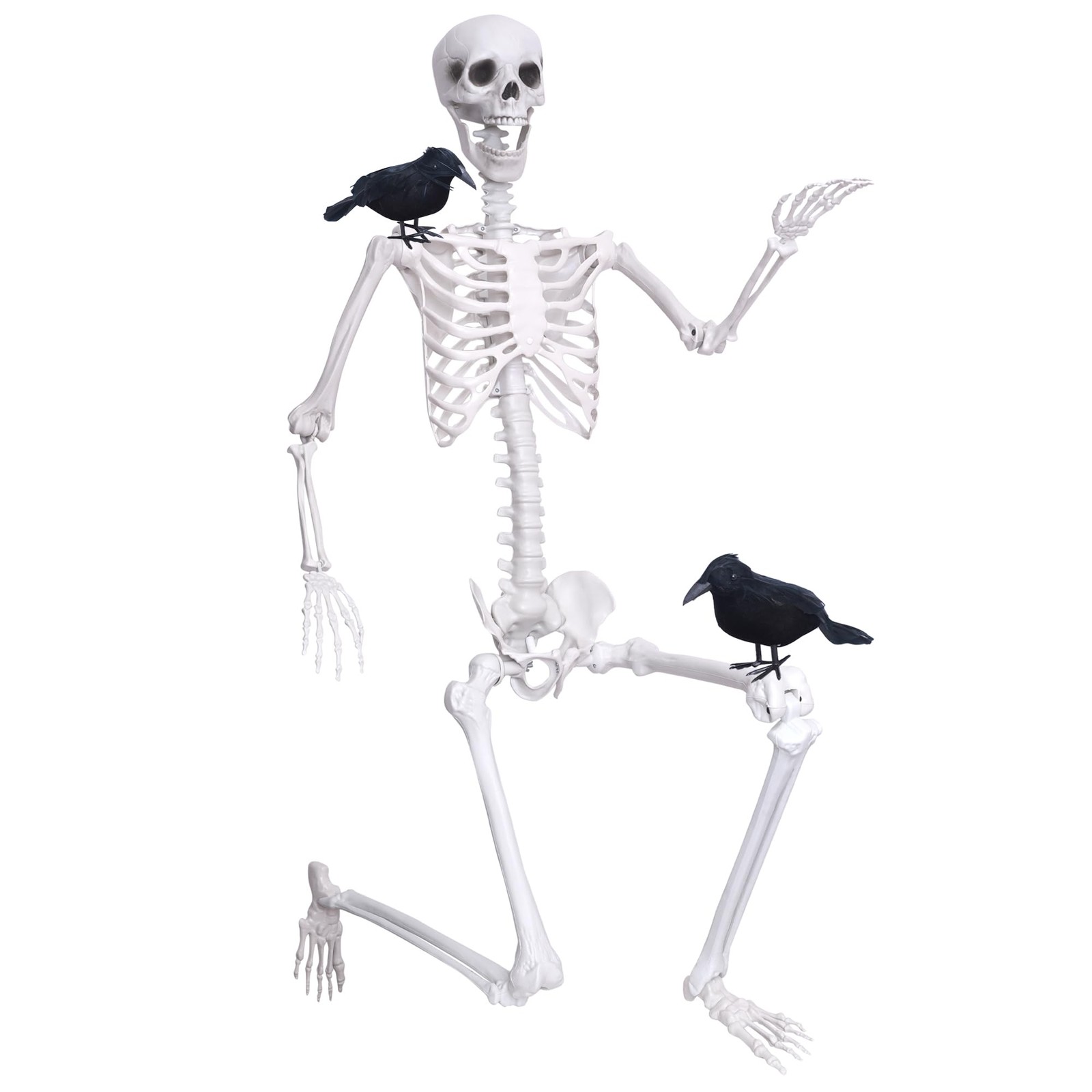 6Ft Life Size Posable Skeleton & 2 Crows Halloween Decor Movable Joints