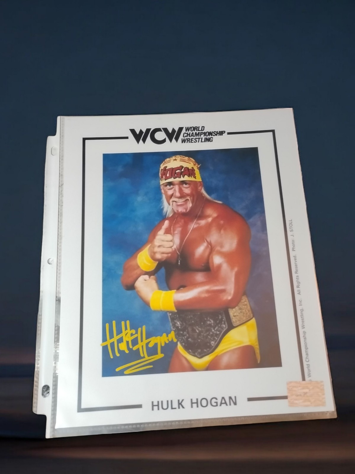 🔥Hulk Hogan Signed Autographed 11x8 Photo WWE Wrestling WWF WCW Championship