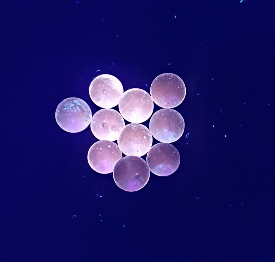 Lot of 10 Peewee Cadmium Light Orange UV Glow Marbles Clear Small