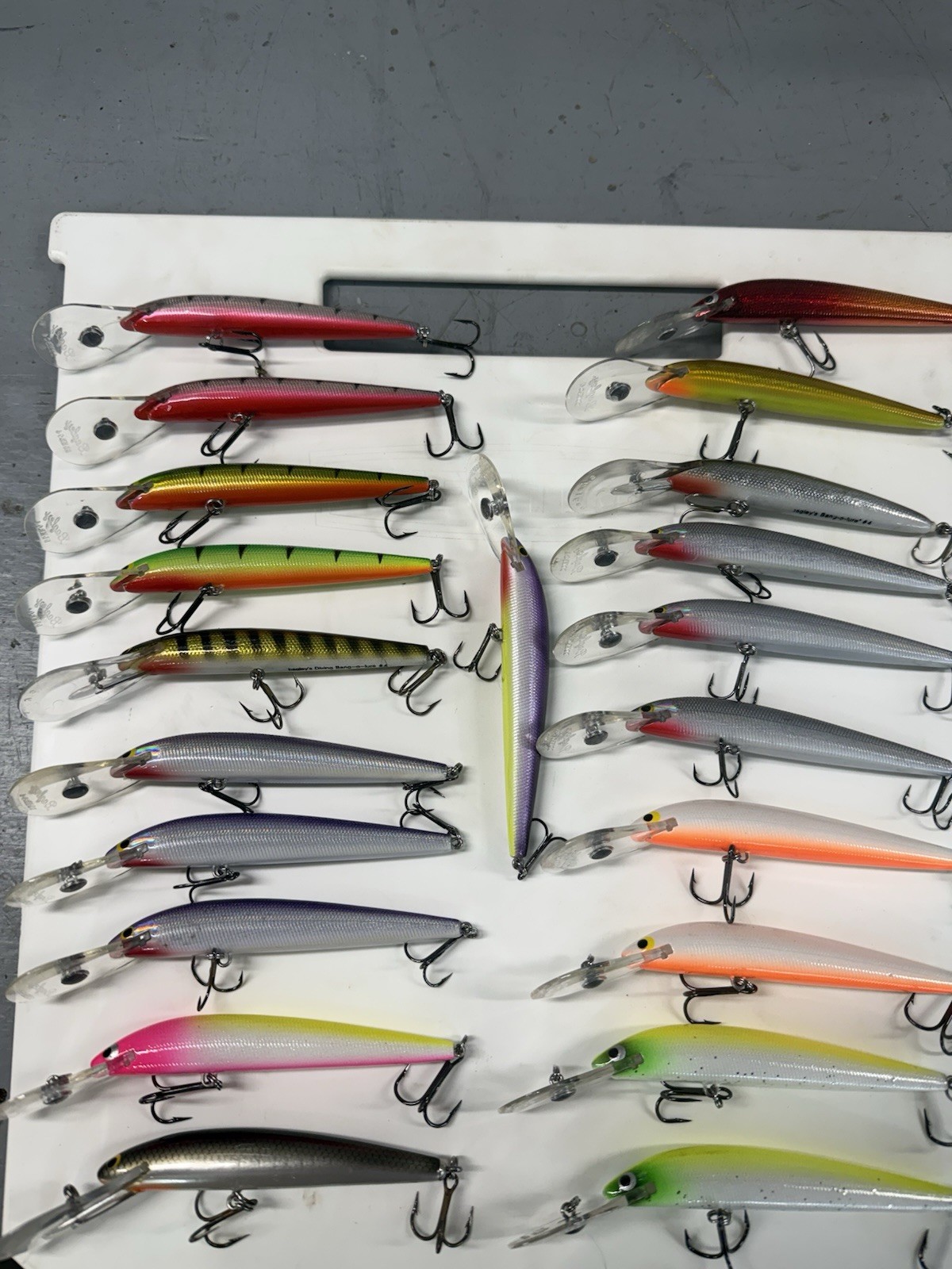 Bagley Bang-o- Lure #4 Deep (21) Brand New