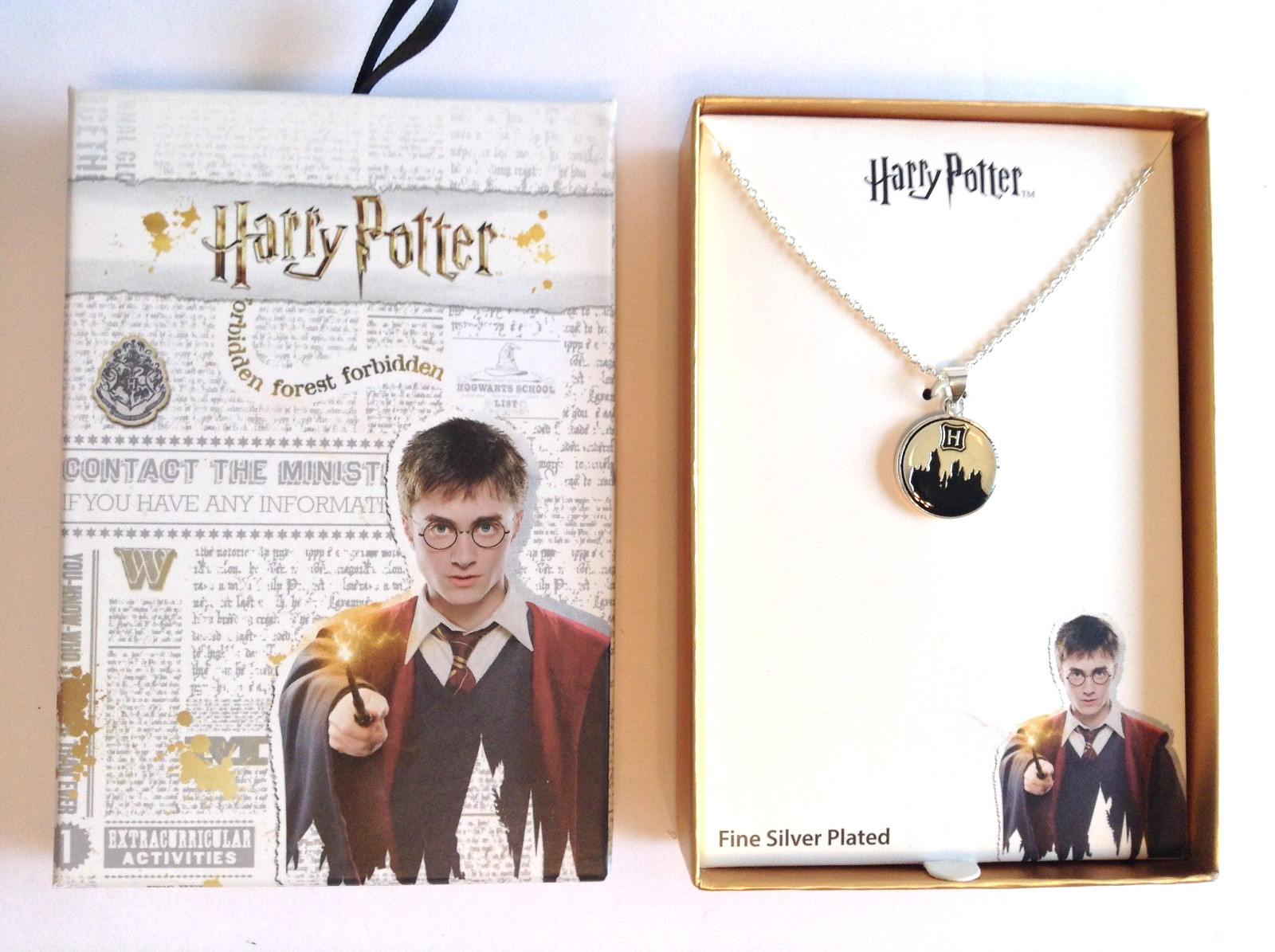 Harry Potter Hogwarts Castle Fine Silver & Brass Plated Necklace 18" Chain NIB