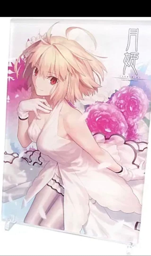 Tsukihime Animate Limited Bonus Takashi Takeuchi Newly Illustrated A4 Acrylic