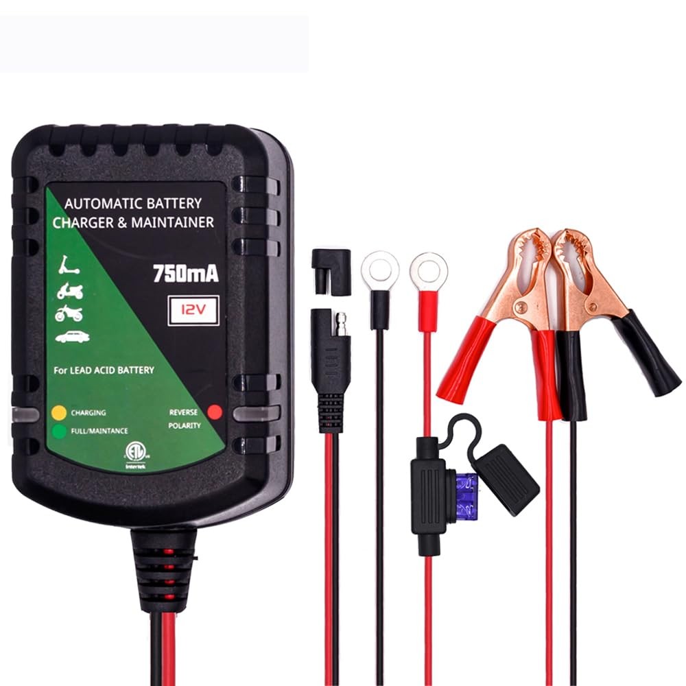 12 Volt Battery Charger 750mA Automatic Battery maintainer trickle Battery Ch...