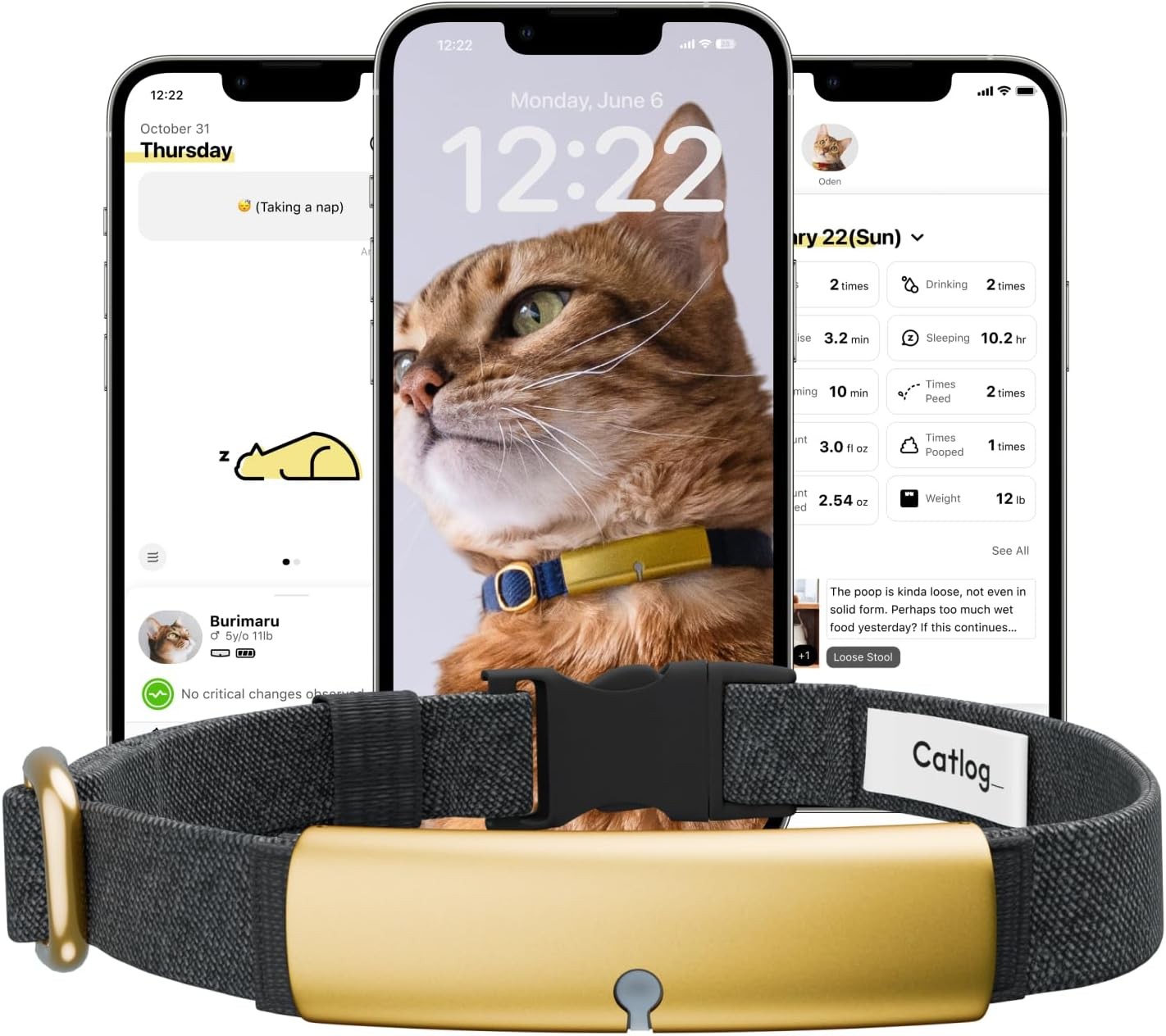Health Tracker for Cats - Smart Cat Collar with Safety Breakaway Buckle for Indo