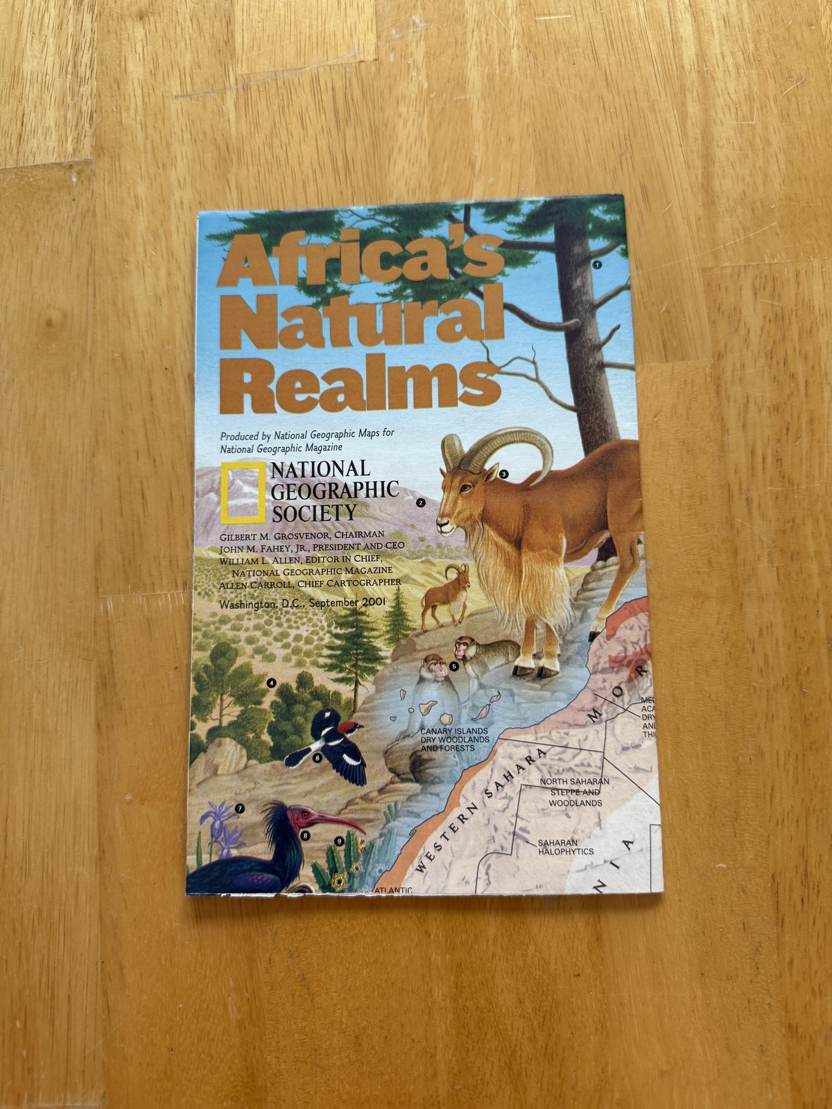 Vintage National Geographic Africa Natural Realms Africa Today Map 2001 2003