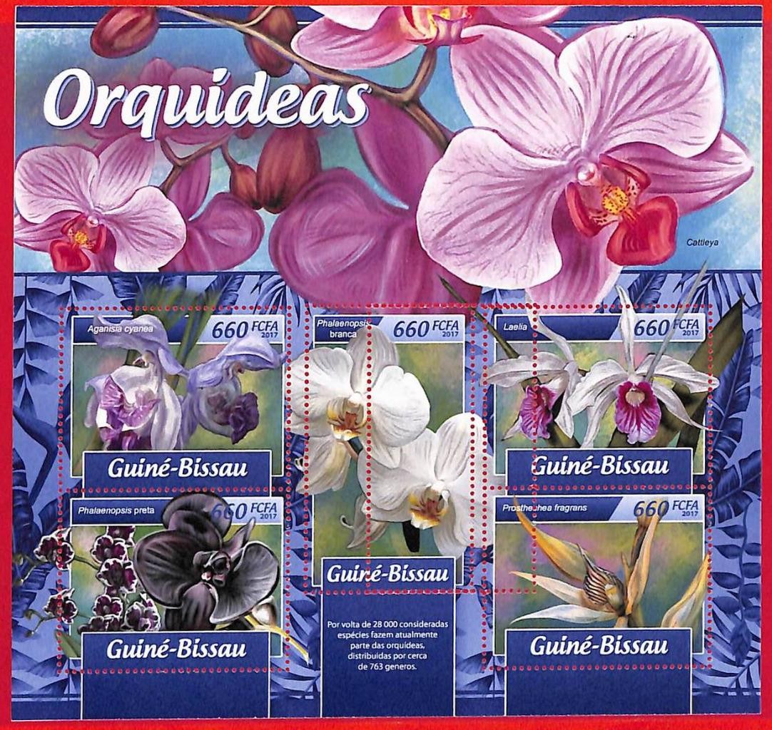 A5106 - GUINE-BISSAU - ERROR MISPERF Stamp Sheet - 2017 - Orchids