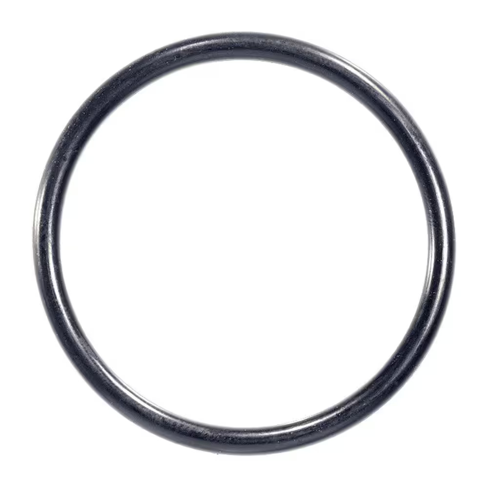#100 O-Ring (Bag of 20)