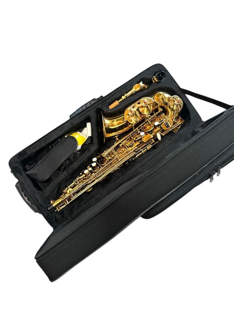 Soleil Alto Saxophone for Beginners