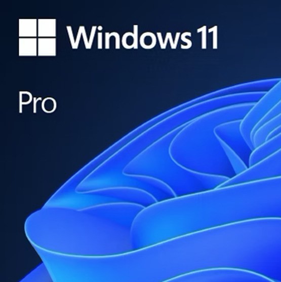 Windows 11 Pro LICENSE - WITH  Bootable USB Media (Global)