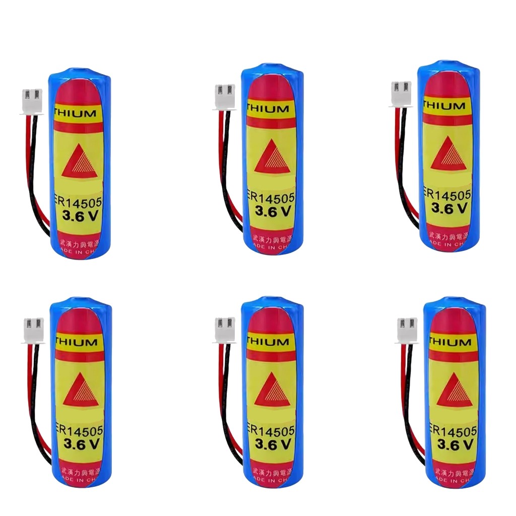 6PCS ER14505M 3.6V Battery 2200mAh Battery with 2.54 White Plug