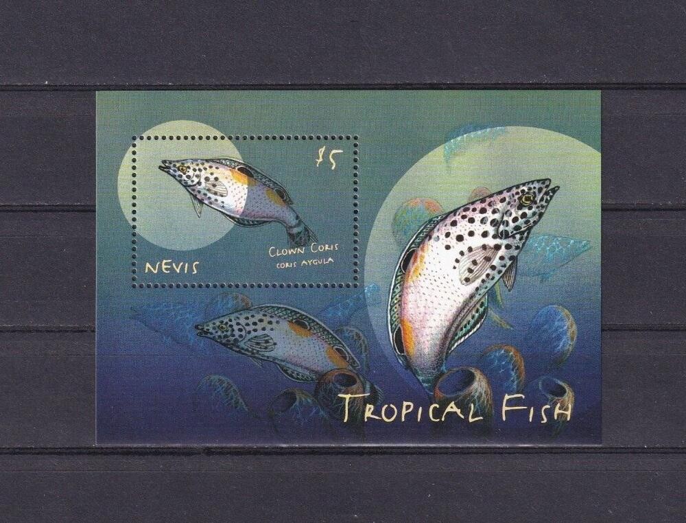 SA11e Nevis 2000  Tropical Fish mint minisheet