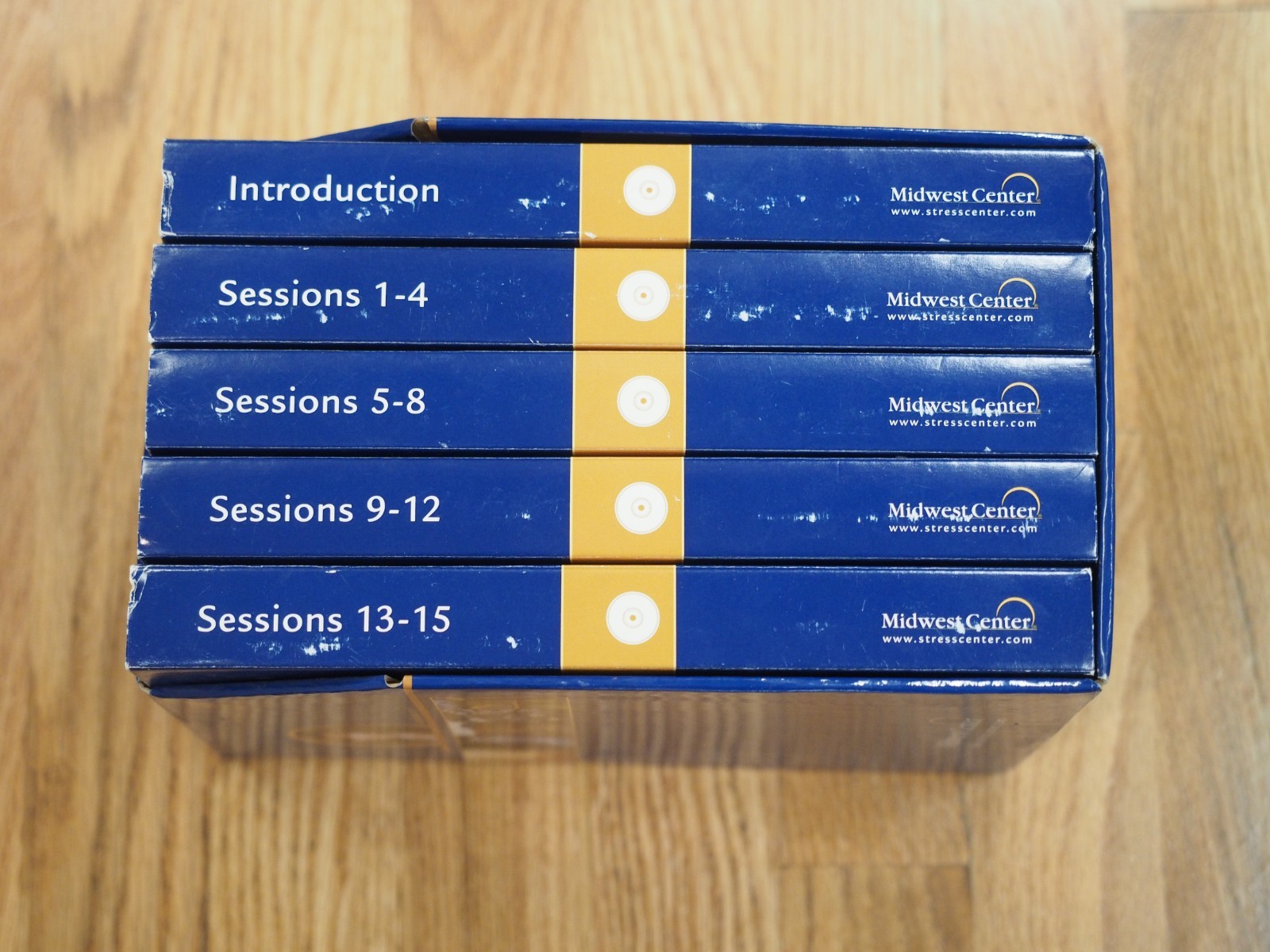 Midwest Center Attacking Anxiety & Depression 18 CDs & Guidebook Lucinda Bassett