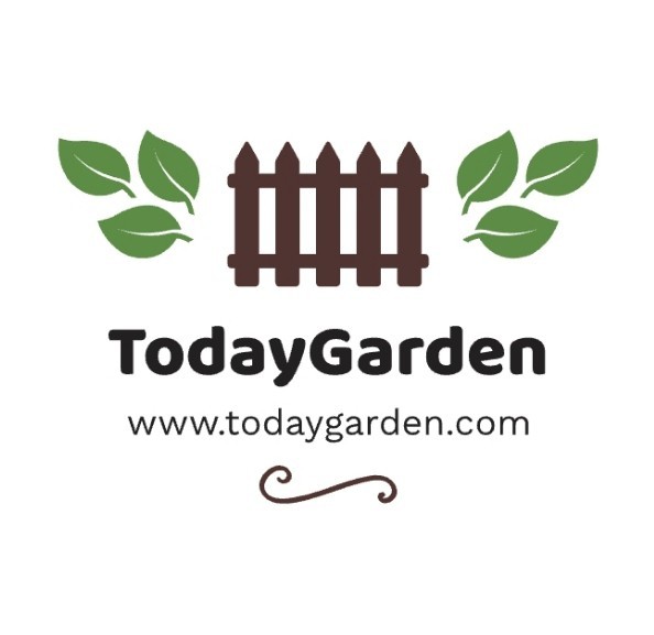 TodayGarden.com, Top Premium Gardening Services Domain Name