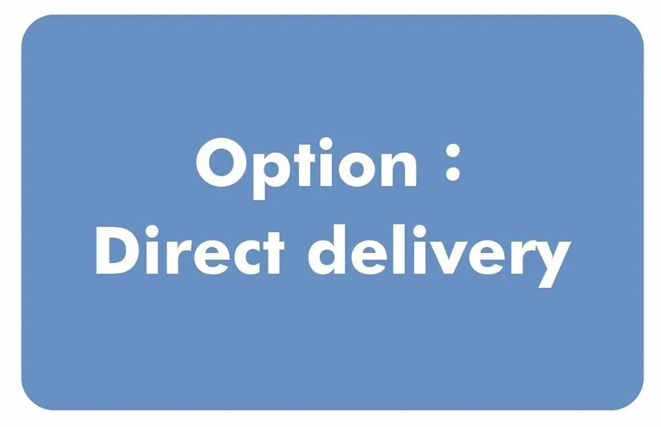 Option:Direct Delivery