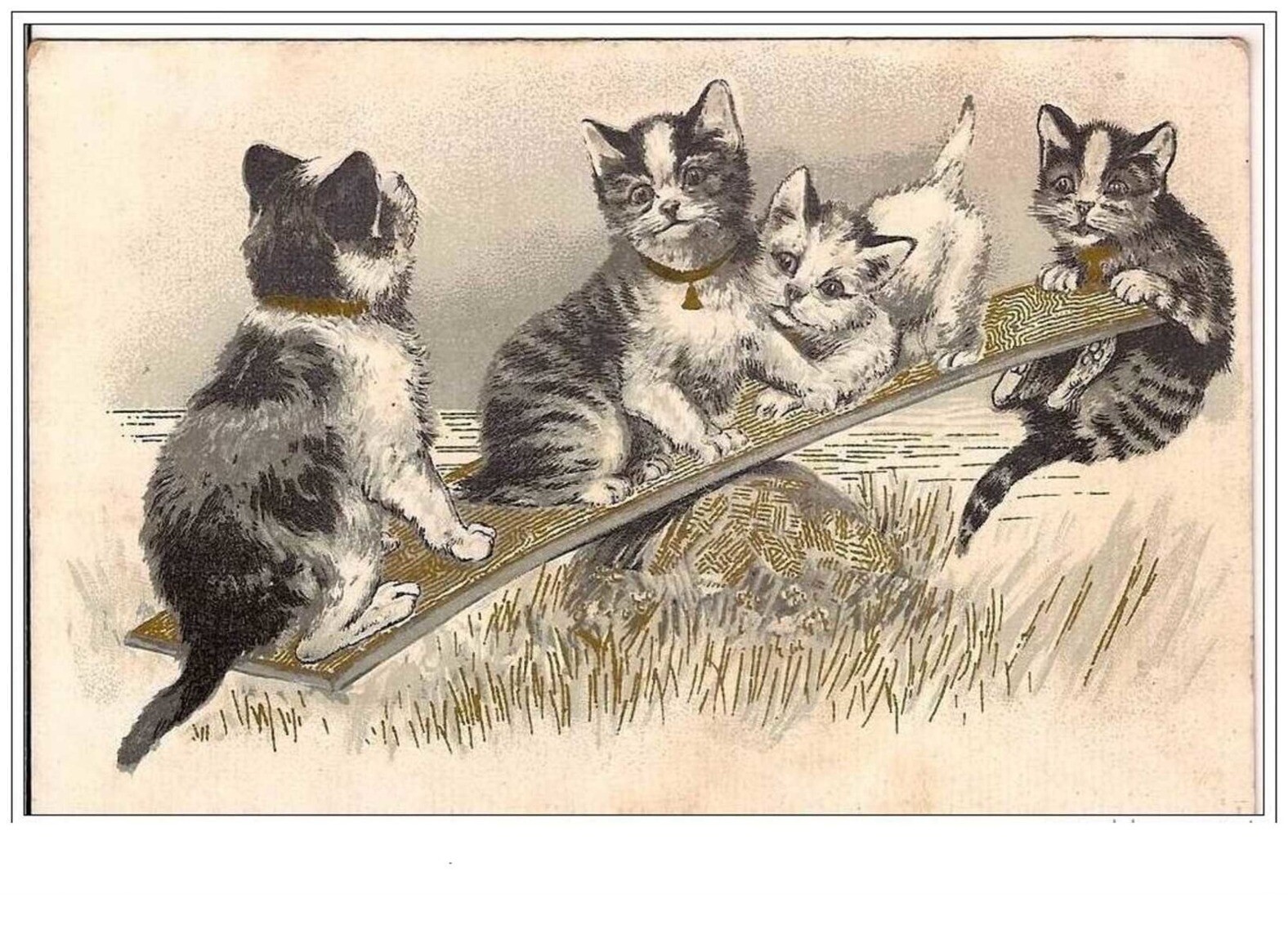 Cats Kittens Playing On The Swing.