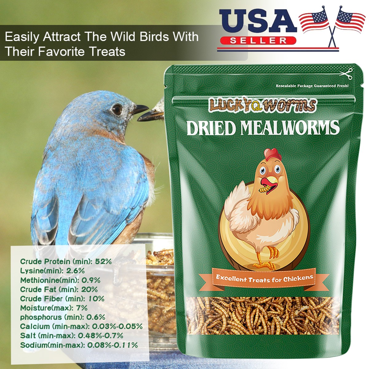 Bulk Dried Mealworms for Wild Birds Food Non-GMO Chickens Hen Fish Treats Food