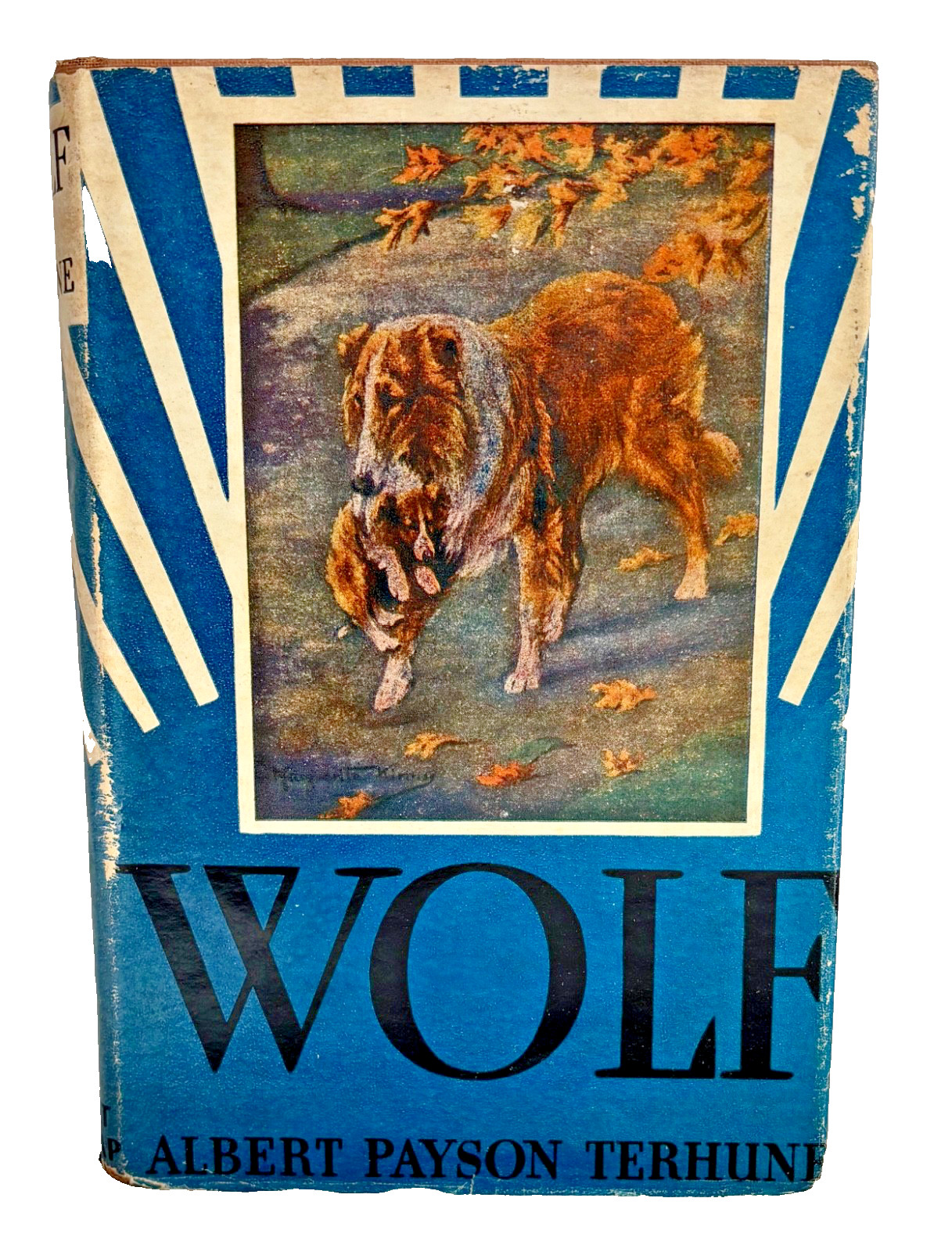 Wolf By Albert Payson Terhune Hardcover Book 1925 Grosset & Dunlap Wartime ed