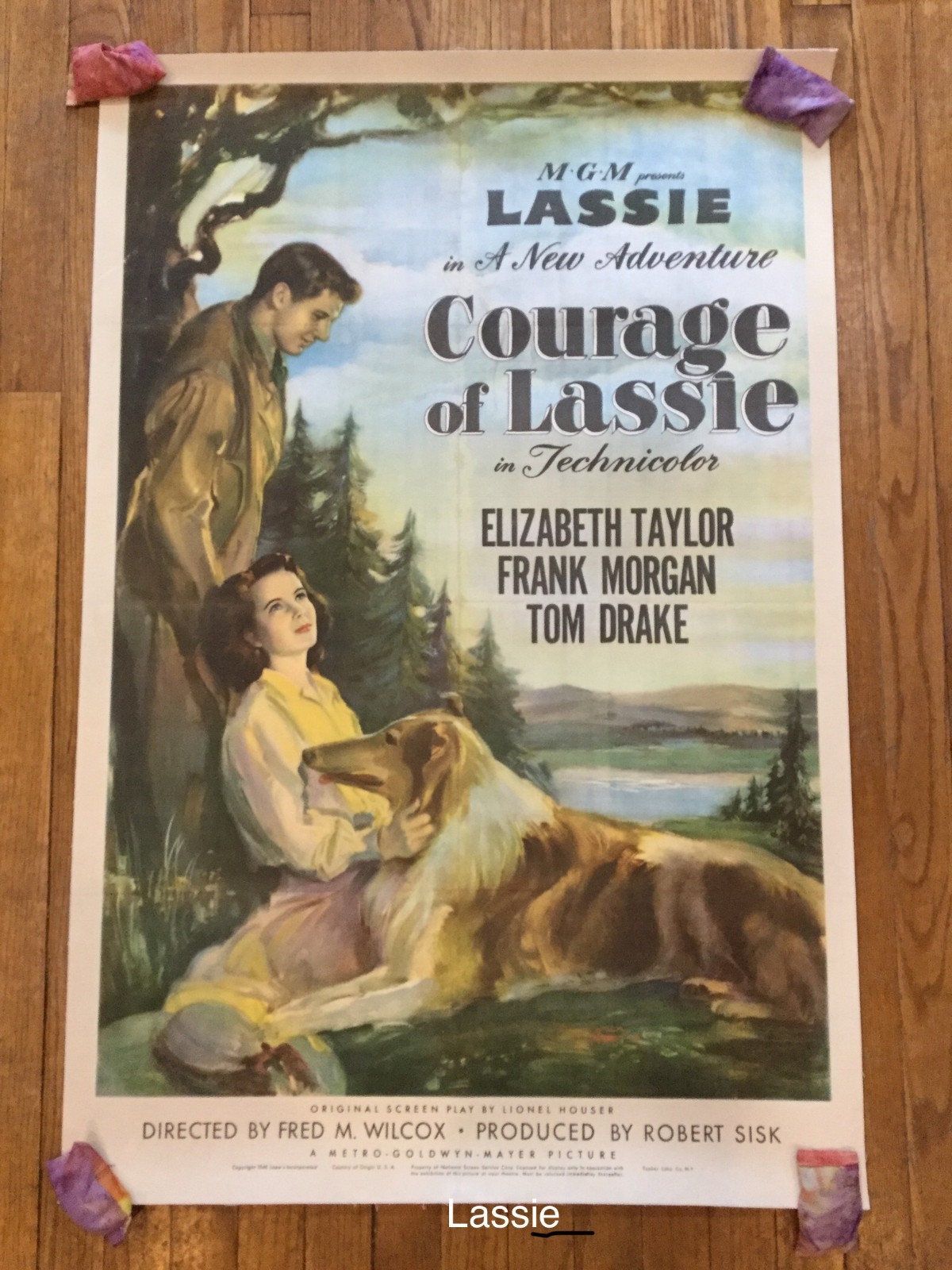 16MM FEATURE FILM: "GENTLE GIANT" (1967) AGFA 2S Low Fade MINT PRINT!!!