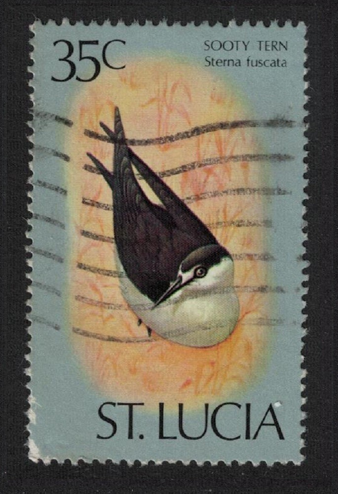 St. Lucia Sooty tern Bird 35c T2 1976 Canc SG#425