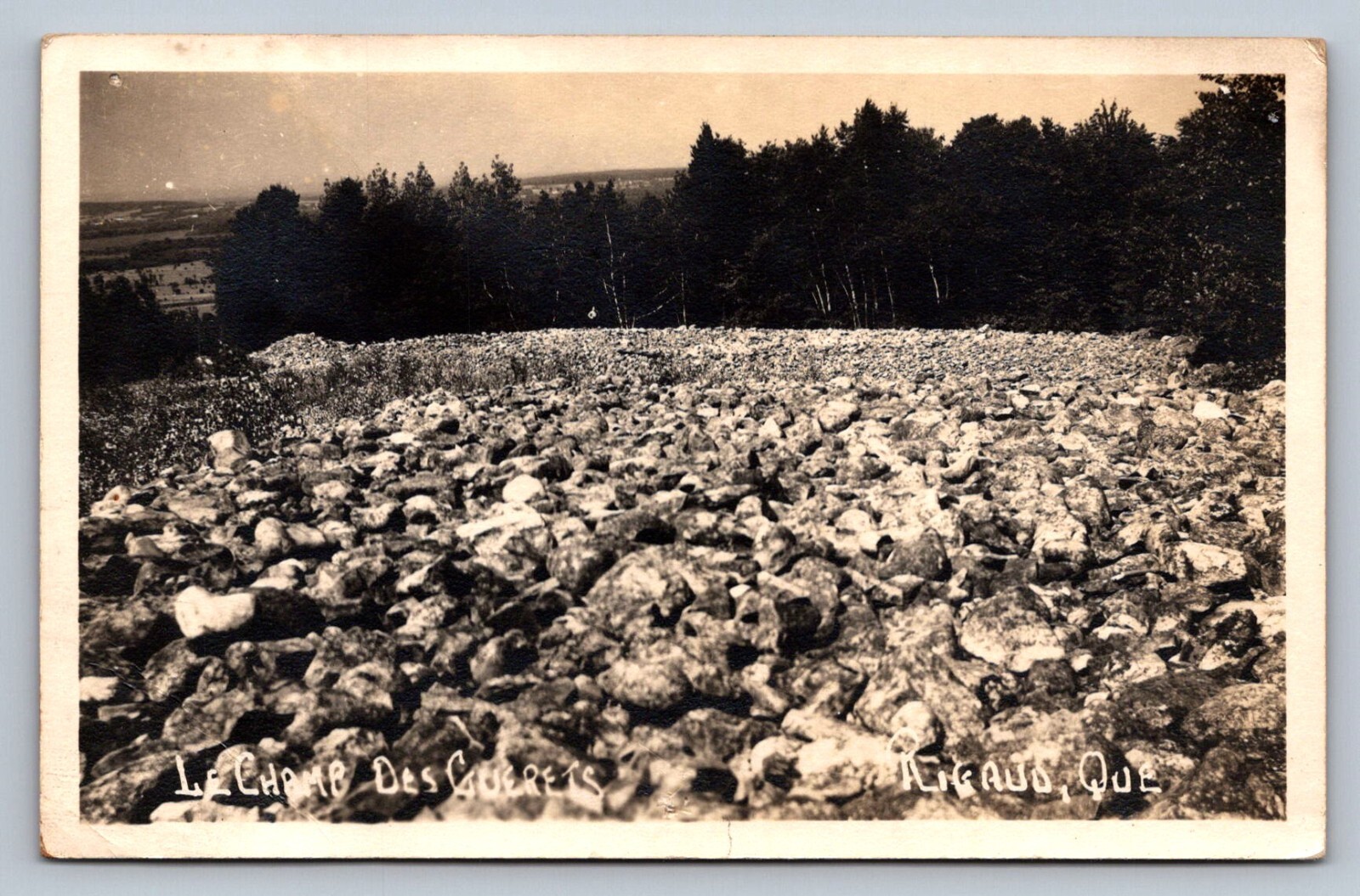 Postcard RPPC Quebec Rigaud Le Champ des Guerets Potato Field Devil's Field M776