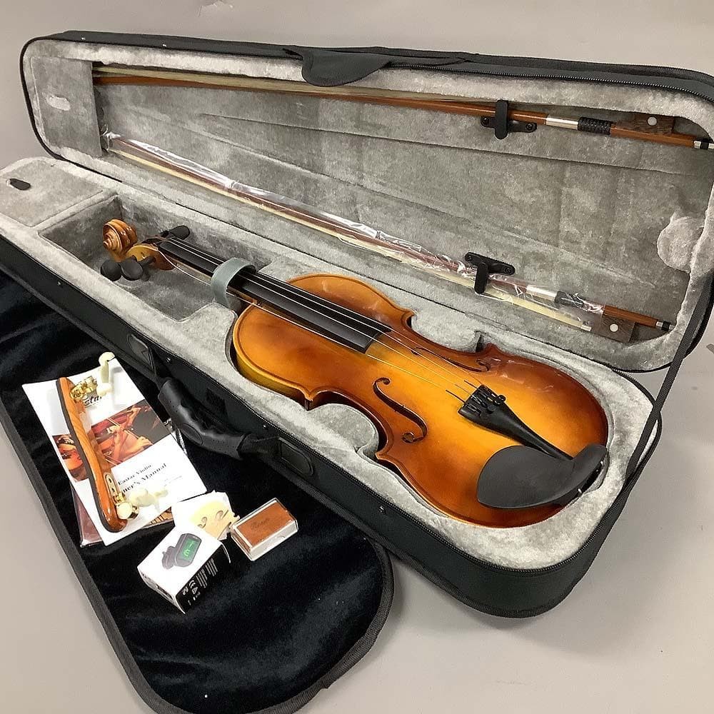 EASTAR violin 4/4