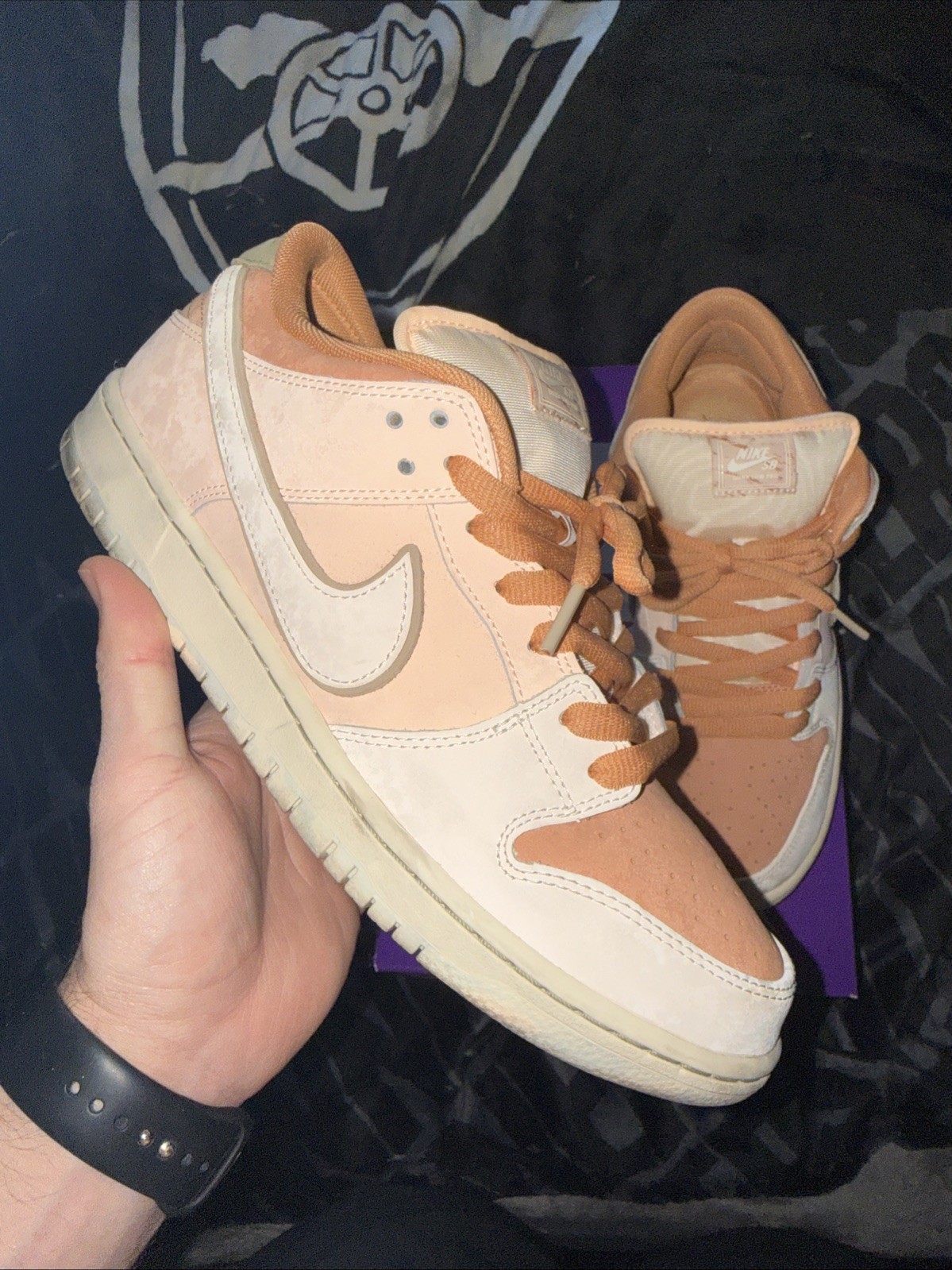 Nike SB Dunk Low Trocadero Gardens Men’s 10