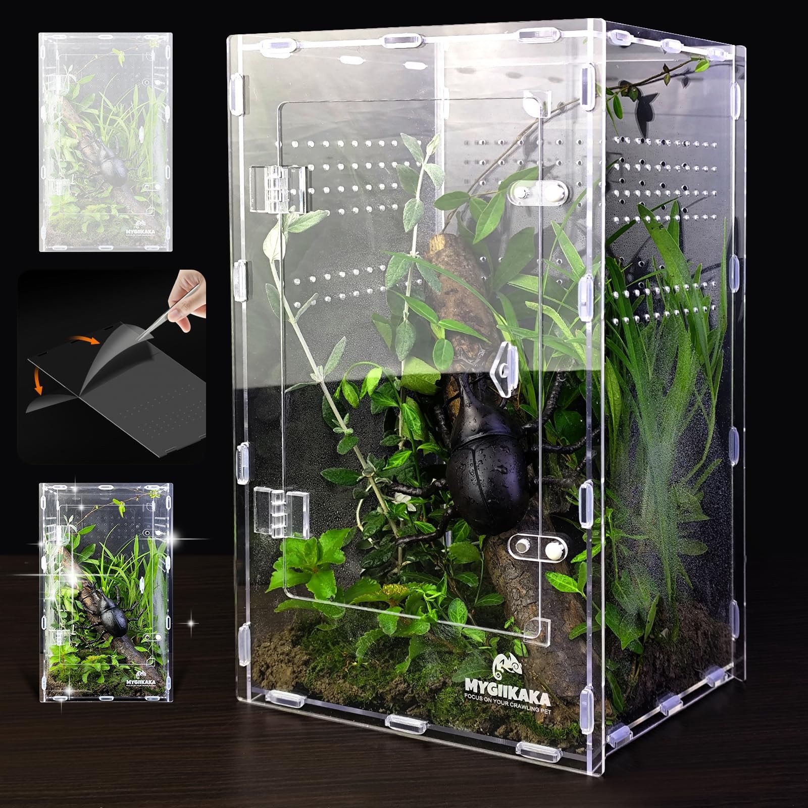 Acrylic Jumping Spider Enclosure Insect Terrarium For Mantises Tarantulas