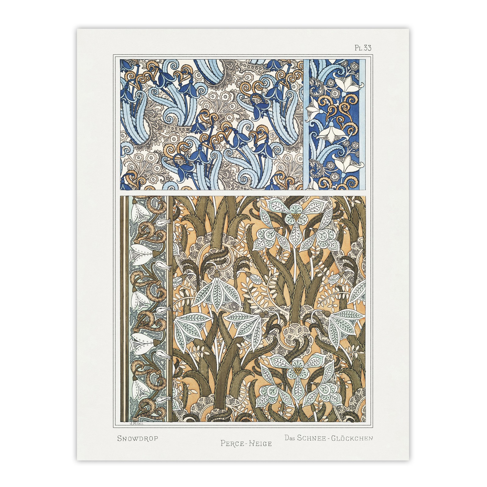 Snowdrops Nouveau Floral Patterns Vintage Framed Wall Art Print Verneuil
