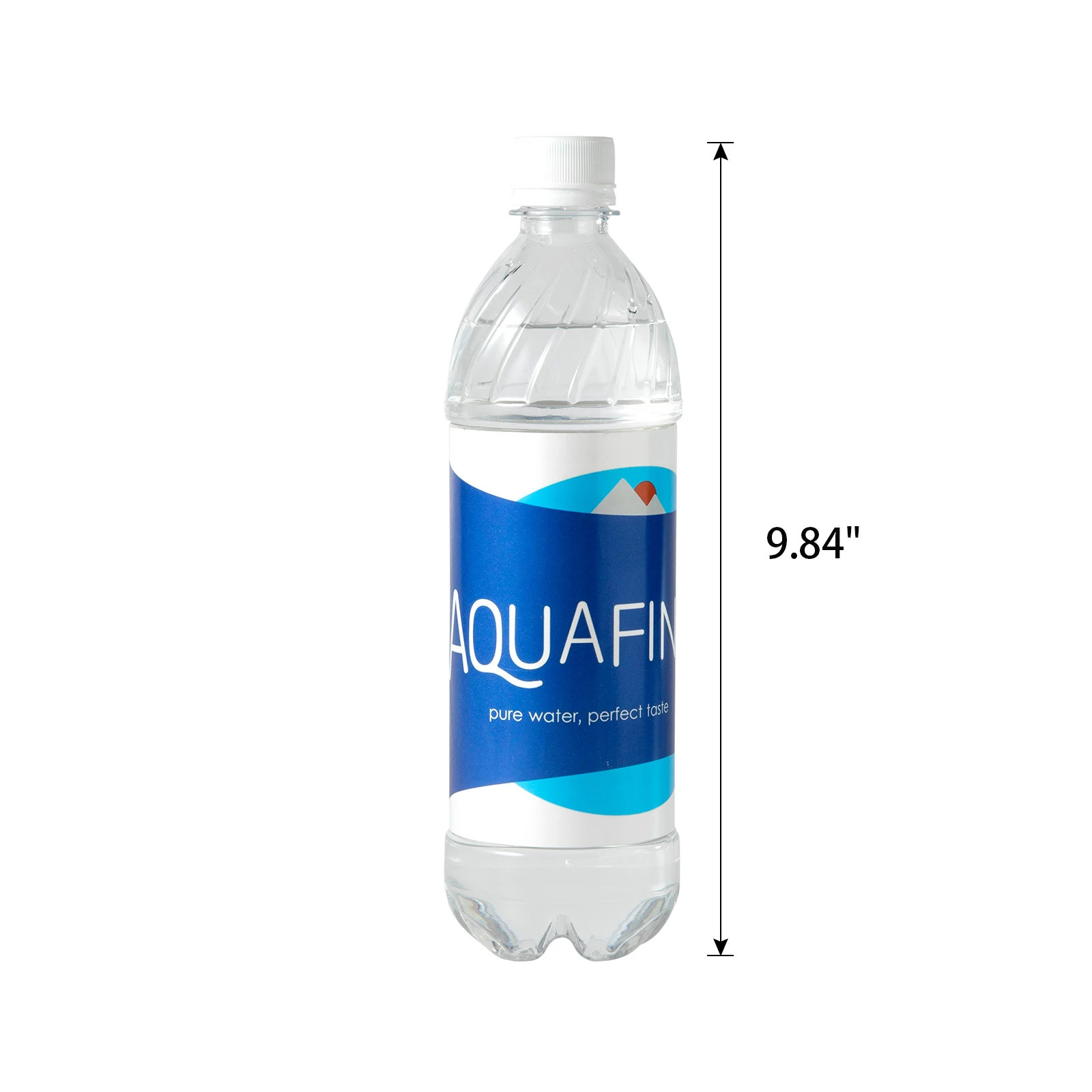 Aquafina Water Bottle Diversion Safe Can Stash Hidden Security Container with a 