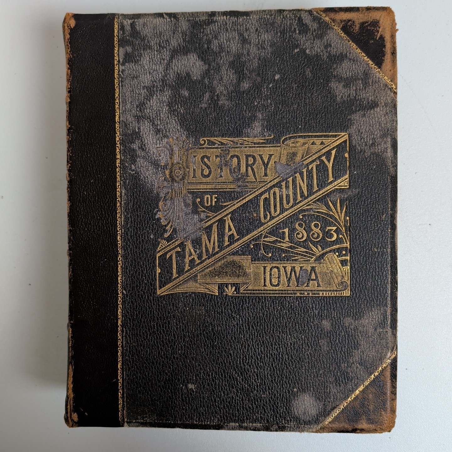 Antique History of Tama County Iowa 1883 Indians Civil War Profiles Illustrated