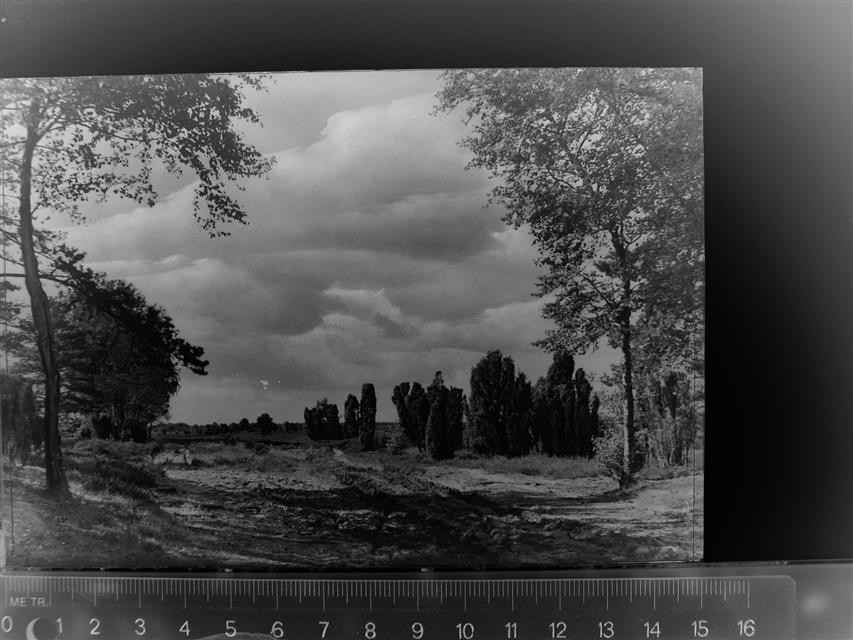 30084430 - 2240 Heath Dithmarschen LKR