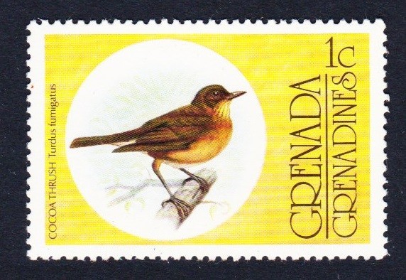 Grenadines Cocoa Thrush Bird 1976 MNH SG#148 Sc#146