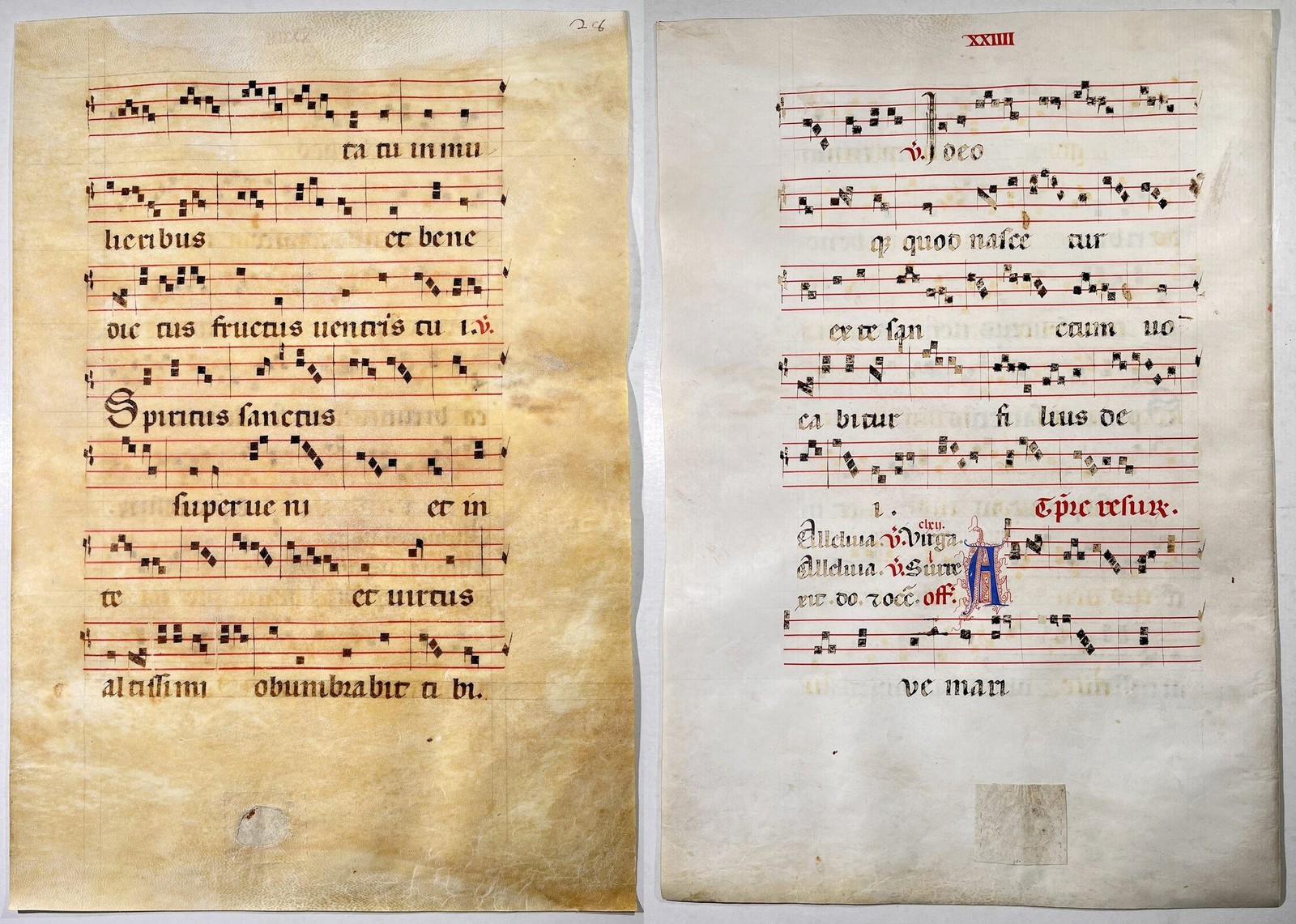 Antiphonary Vellum Manuscript 15th Century A66