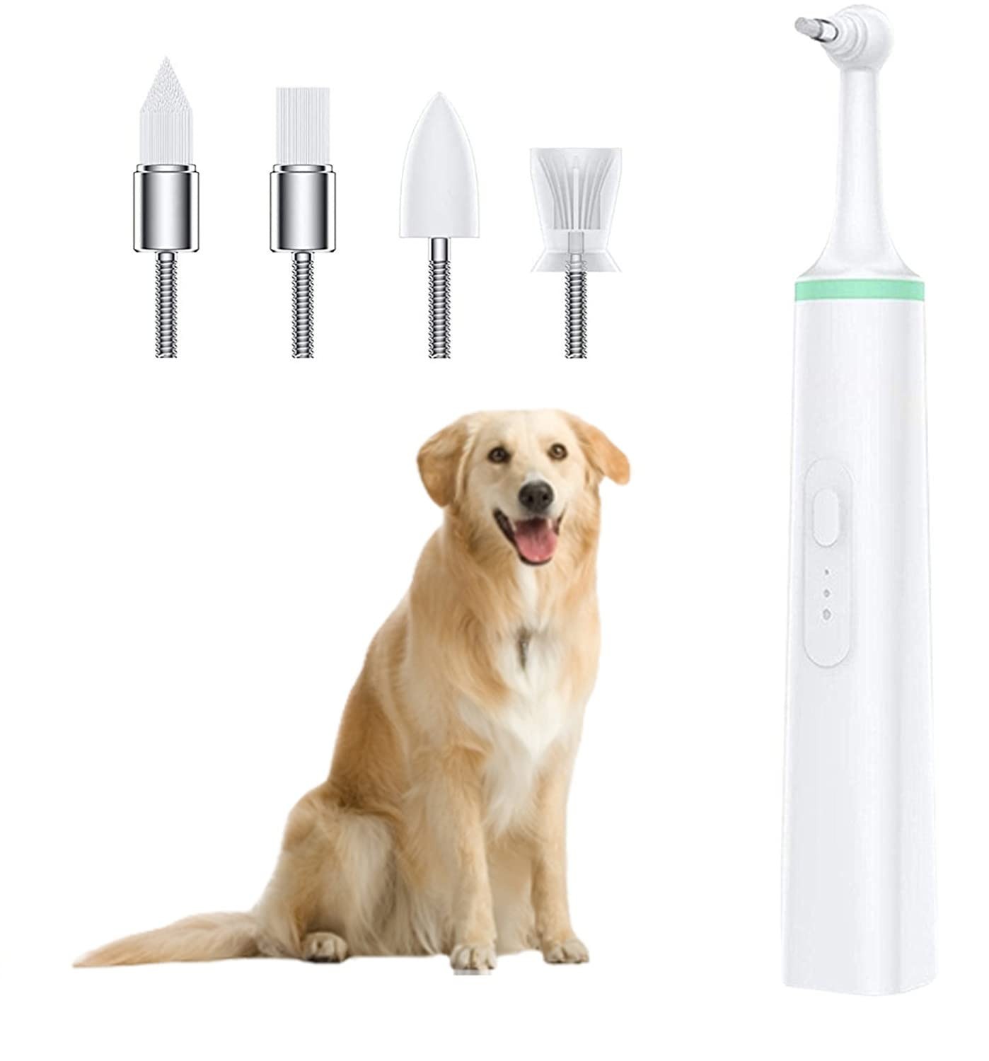 Electric Teeth Polisher Tartar Remover IPX6 4 Heads