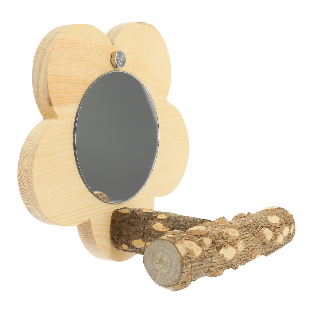  Parrot Standing Rack Toy Training Bird Perch African Grey Stands Large