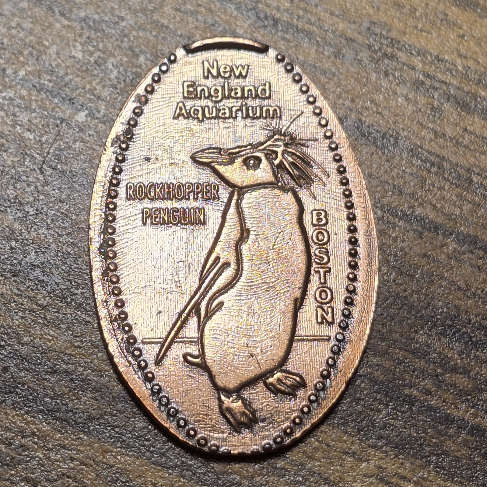 New England Aquarium Boston MA Rockhopper Penguin enlongated pressed penny C49