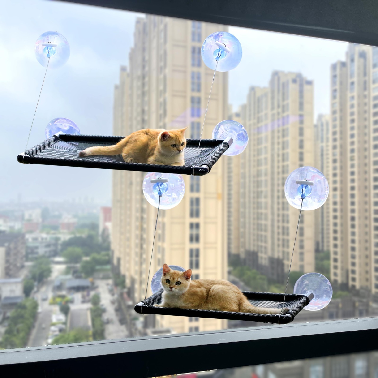 Cat Hammock for Wall with 4 Suction Cups, Cat Window Perch, Space Saving and ...